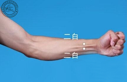 【穴位图】